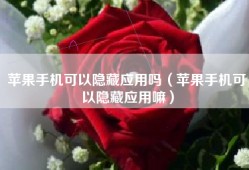 苹果手机可以隐藏应用吗（苹果手机可以隐藏应用嘛）