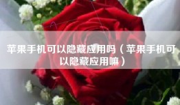 苹果手机可以隐藏应用吗（苹果手机可以隐藏应用嘛）