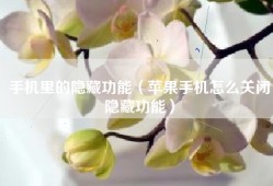 手机里的隐藏功能（苹果手机怎么关闭隐藏功能）