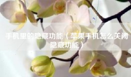 手机里的隐藏功能（苹果手机怎么关闭隐藏功能）
