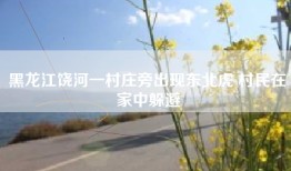 黑龙江饶河一村庄旁出现东北虎 村民在家中躲避