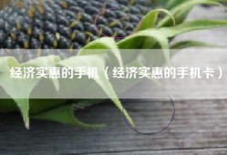 经济实惠的手机（经济实惠的手机卡）
