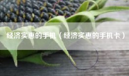 经济实惠的手机（经济实惠的手机卡）
