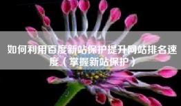 如何利用百度新站保护提升网站排名速度（掌握新站保护）