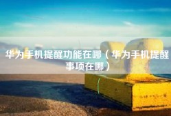 华为手机提醒功能在哪（华为手机提醒事项在哪）