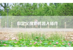 自定义搜索机器人插件