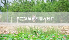 自定义搜索机器人插件