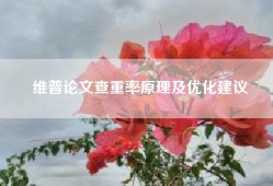 维普论文查重率原理及优化建议