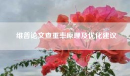 维普论文查重率原理及优化建议