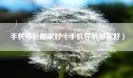 手机导航哪家好（手机导航那家好）