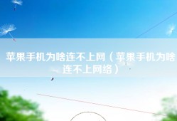 苹果手机为啥连不上网（苹果手机为啥连不上网络）