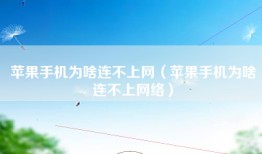 苹果手机为啥连不上网（苹果手机为啥连不上网络）