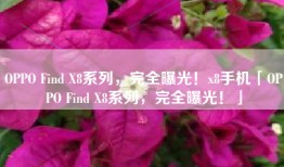 OPPO Find X8系列，完全曝光！x8手机「OPPO Find X8系列，完全曝光！」