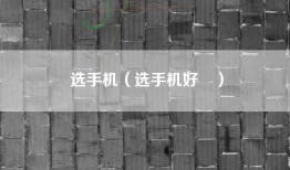 选手机（选手机好叿）