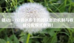 链动3+1分销体系下的团队激励机制与收益分配模式创新！