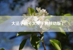 大法手机（大发手机移动版）