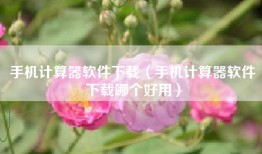 手机计算器软件下载（手机计算器软件下载哪个好用）