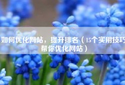 如何优化网站，提升排名（15个实用技巧帮你优化网站）