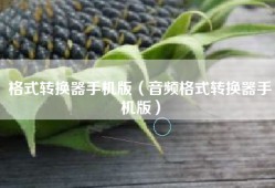 格式转换器手机版（音频格式转换器手机版）