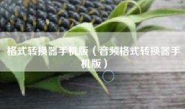 格式转换器手机版（音频格式转换器手机版）