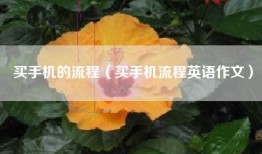 买手机的流程（买手机流程英语作文）