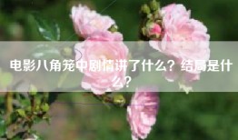 电影八角笼中剧情讲了什么？结局是什么？