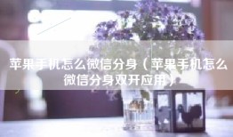 苹果手机怎么微信分身（苹果手机怎么微信分身双开应用）