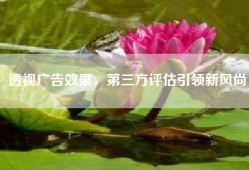 透视广告效果，第三方评估引领新风尚