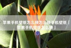 苹果手机壁纸怎么换怎么换手机壁纸「苹果手机壁纸怎么换」