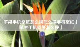 苹果手机壁纸怎么换怎么换手机壁纸「苹果手机壁纸怎么换」
