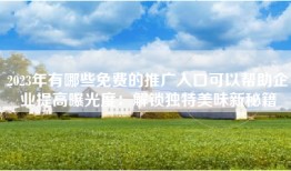 2023年有哪些免费的推广入口可以帮助企业提高曝光度：解锁独特美味新秘籍