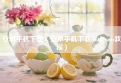 安卓手机下载（安卓手机下载instagram教程）