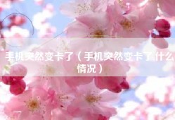 手机突然变卡了（手机突然变卡了,什么情况）