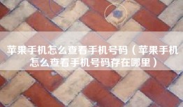苹果手机怎么查看手机号码（苹果手机怎么查看手机号码存在哪里）