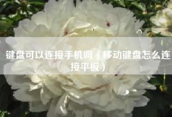 键盘可以连接手机吗（移动键盘怎么连接平板）