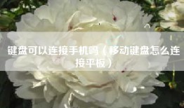 键盘可以连接手机吗（移动键盘怎么连接平板）