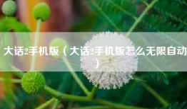 大话2手机版（大话2手机版怎么无限自动）