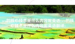 seo的核心技术是什么内容呢英语(seo的核心技术是什么内容呢英语翻译)