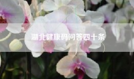 湖北健康码问答四十条