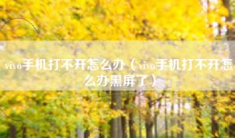 vivo手机打不开怎么办（vivo手机打不开怎么办黑屏了）