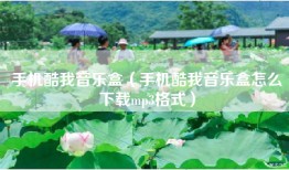 手机酷我音乐盒（手机酷我音乐盒怎么下载mp3格式）