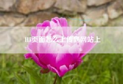 H5页面怎么上传到网站上