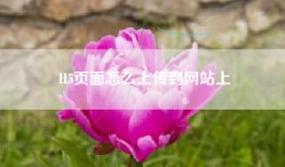 H5页面怎么上传到网站上