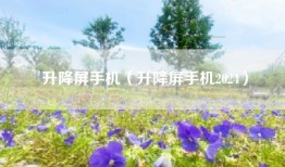 升降屏手机（升降屏手机2024）