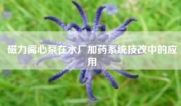 磁力离心泵在水厂加药系统技改中的应用
