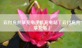 云付充共享充电手机充电站「云付充共享充电」
