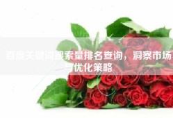 百度关键词搜索量排名查询，洞察市场与优化策略