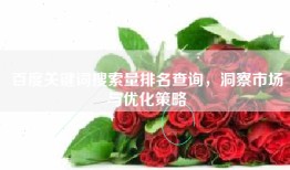 百度关键词搜索量排名查询，洞察市场与优化策略