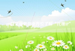一篇文章带你全方位了解“代理IP”