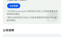 荣耀手机安装鸿蒙系统教程荣耀手机系统「荣耀手机安装鸿蒙系统教程」